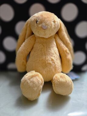 FIRM PRICE🐰Sunshine Bunny Jellycat🌞